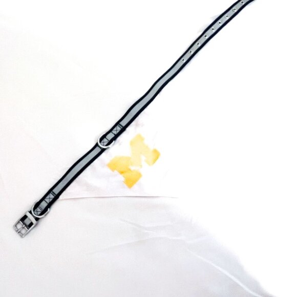 University of Michigan Reflective Dog collar with attached bandana NEW - Picture 3 of 8